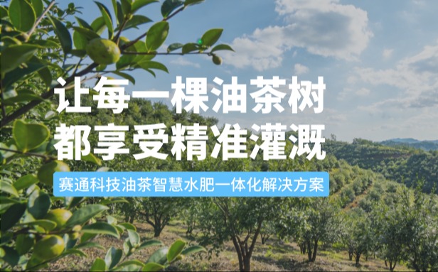 赛通科技油茶QY千亿球友会水肥一体化解决方案：让每一棵油茶树都享受精准灌溉